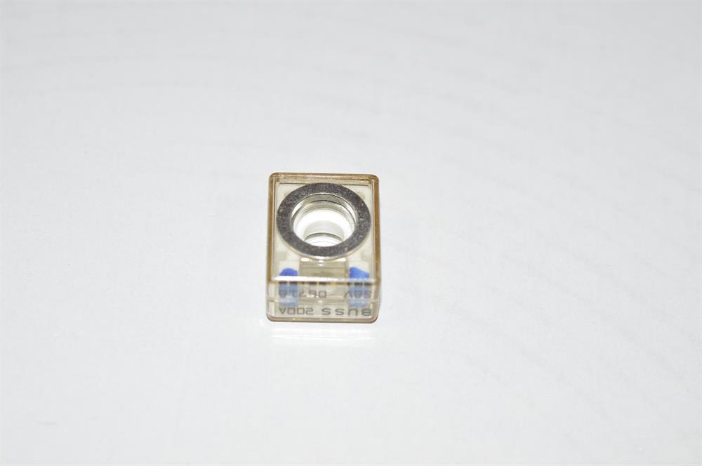 494576.jpg