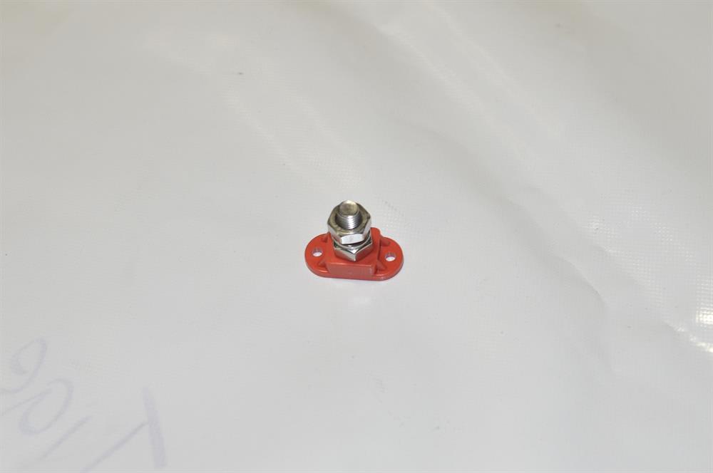 494597.jpg