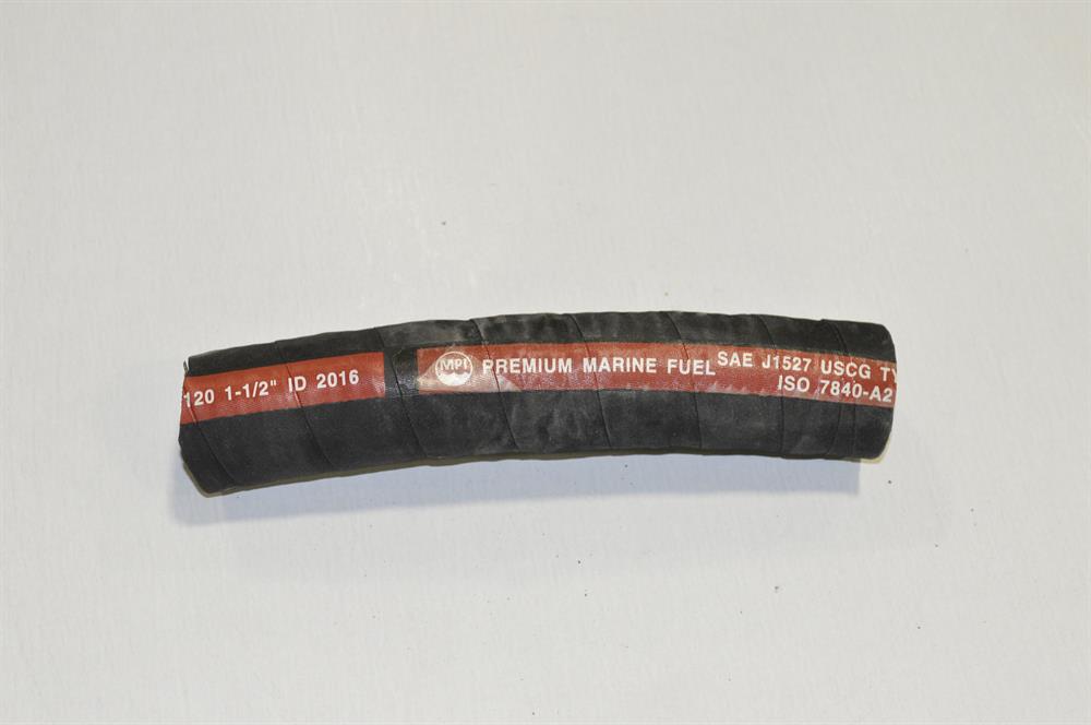 494627.jpg