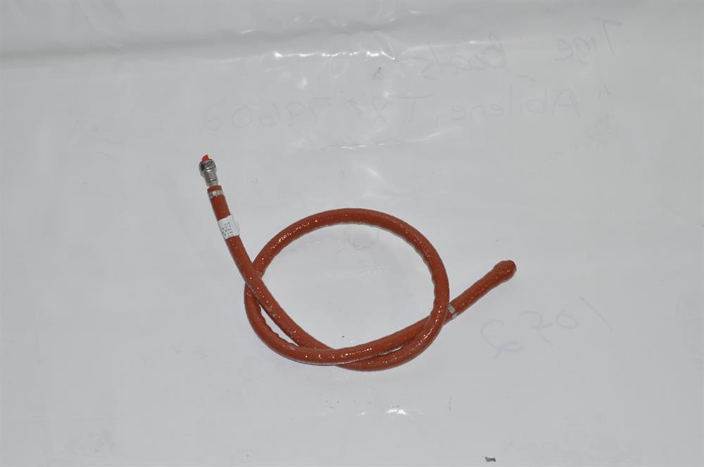 494629.jpg