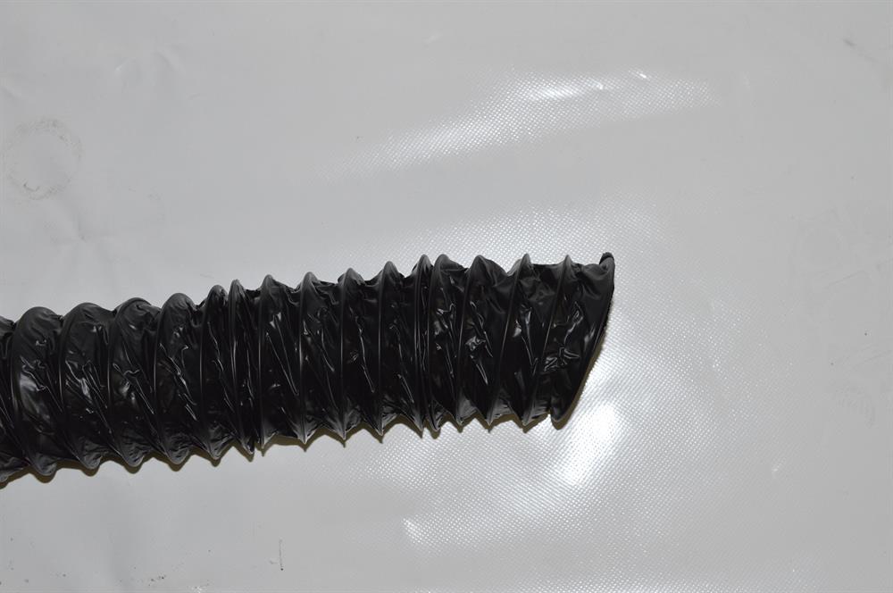494630.jpg
