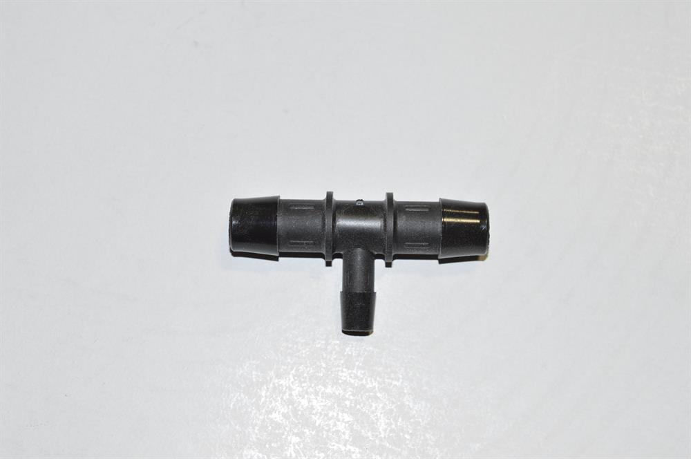494648.jpg