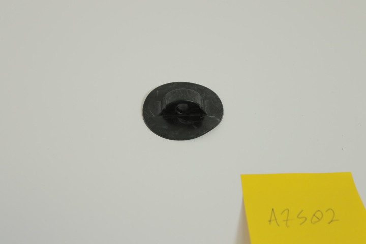 582911.jpg